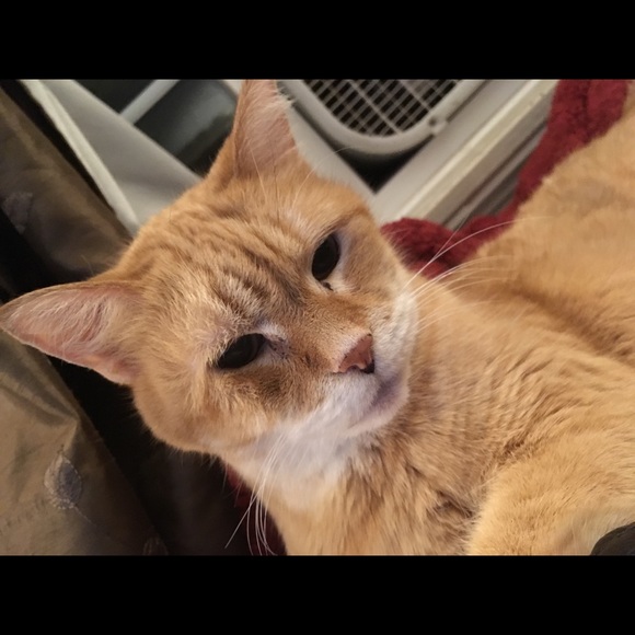 Stop in and say "Hi" :) - Picture 3 of 8